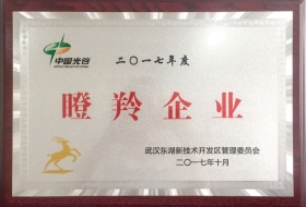2017年获得中国光谷“瞪羚企业”